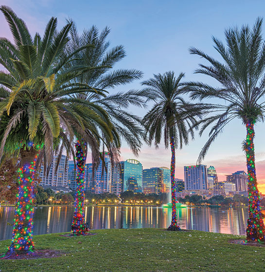 Orlando FL landscape